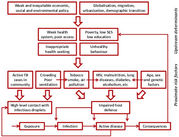 The causes of TB are the determinants of many diseases. If you’re poor, uneducated, live in bad housing, are marginalized, live in an unhealthy community, don’t have access 🛣 to healthcare 🏥 you’re chances of getting sick and dying from illness are always higher.