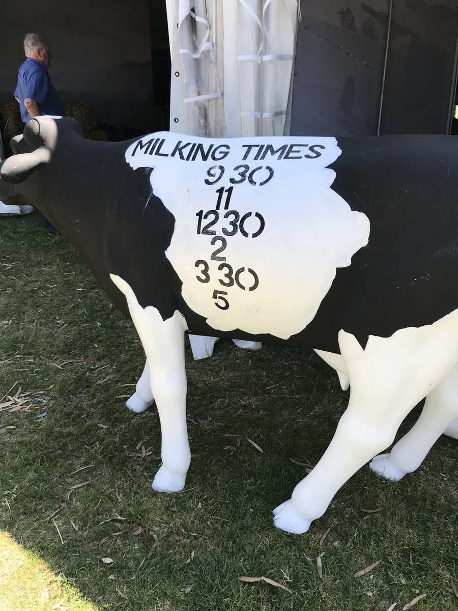 WAFarmersFirst's tweet photo. Come and visit us at the Dairy Pavilion at the Perth Royal Show to learn all about our WAFarmers First milk 🥛 while you’re there, make sure you hang around and see Luke show how to milk a cow, you might even be lucky enough to milk her yourself!! 🐄🐄 #wamilk #buylocal https://t.co/z1DAYfb5HL
