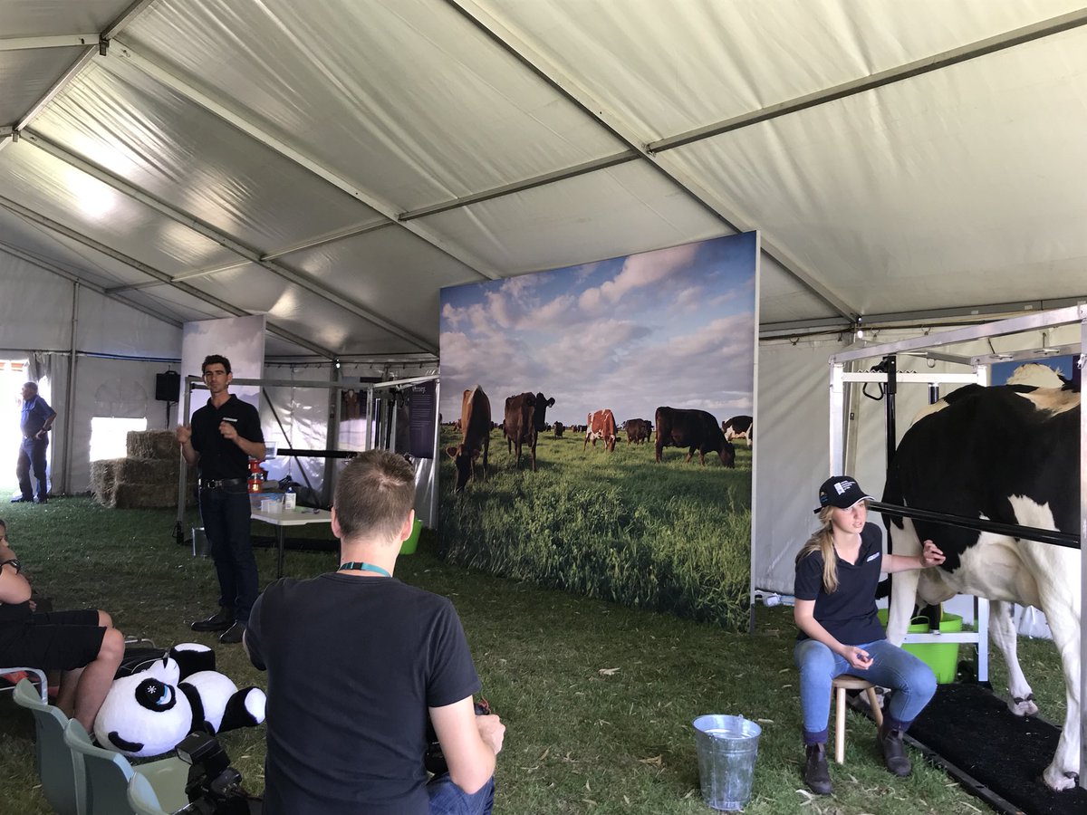 WAFarmersFirst's tweet photo. Come and visit us at the Dairy Pavilion at the Perth Royal Show to learn all about our WAFarmers First milk 🥛 while you’re there, make sure you hang around and see Luke show how to milk a cow, you might even be lucky enough to milk her yourself!! 🐄🐄 #wamilk #buylocal https://t.co/z1DAYfb5HL