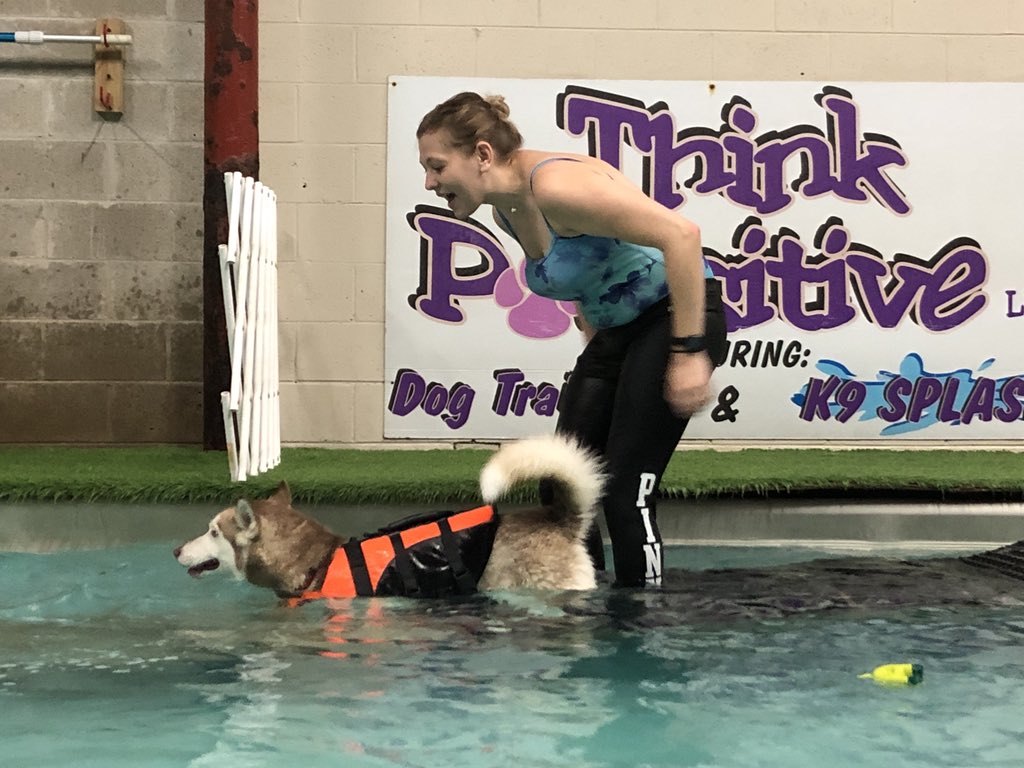 Think Pawsitive tweet media