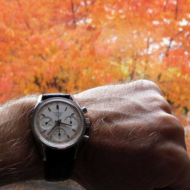 mikaruottinen's tweet photo. Autumn is almost here. Heuer Carrera ref. 2447T #heuer #tagheuer #heuervintage #vintageheuer #heuercarrera #vintageheuercarrera #carrera #vintagewatch #watchporn #2447t #2447 #grailwatch #vintagechrono #valjoux72 #polyback #1stexecution #fabsuisse #carrera55 #qualitycomesfirst #i https://t.co/J6A51tKGiV