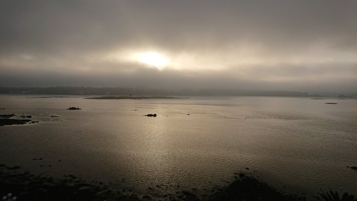 Sibaritae tweet media