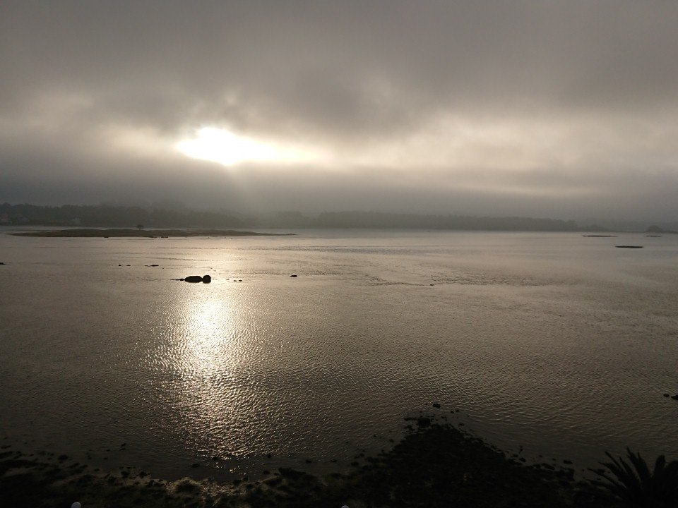 Sibaritae tweet media