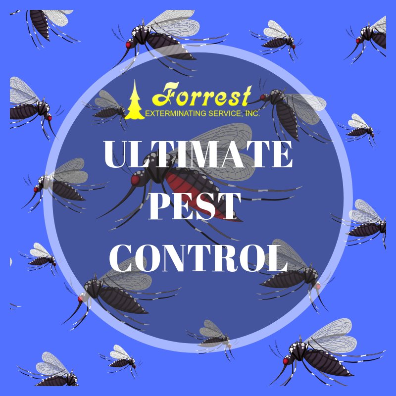ForrestExterm's tweet image. Pest Control its what we do...Call 866-527-4610 today to schedule an estimate! #pestcontrol #moisturecontrol forrestexterminating.com #termites