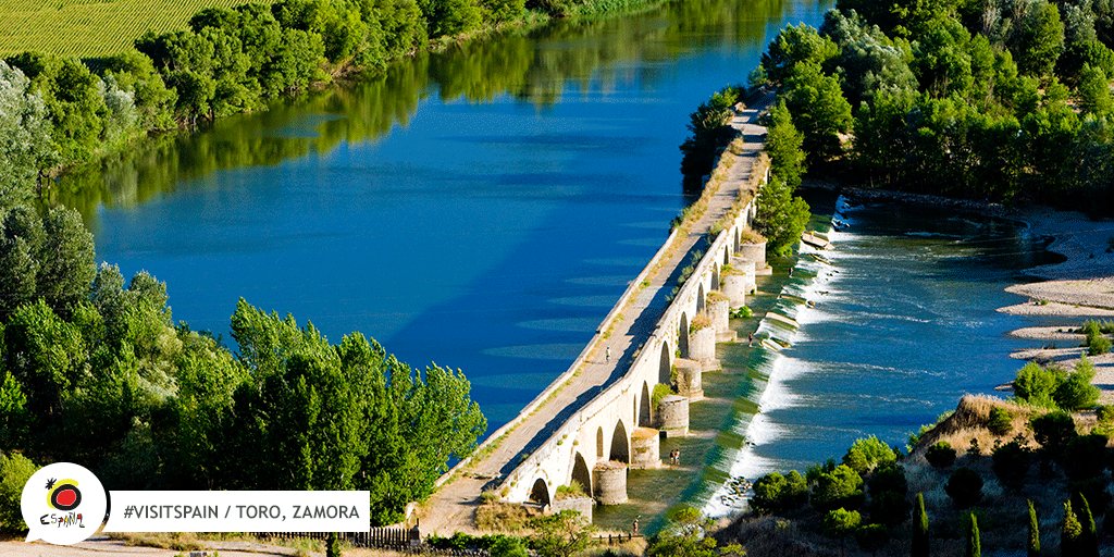 EspanaEnLatam's tweet photo. The Bridge of Toro, in Zamora, is the big brother of the other bridges that allows us to cross the Duero river: it's been there since 1194!  #VisitSpain #Toro #Zamora #SpainCulturalHeritage @ZamoraSpain @CyLesVida https://t.co/KvTyczXUeR