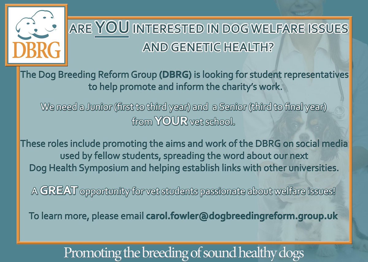DogBRG's tweet image. STUDENTS - THE DOG BREEDING REFORM GROUP NEEDS YOU! If you are interested in dog welfare and genetic health, please get in touch. #doghealth #vetstudents #avoicefordogs