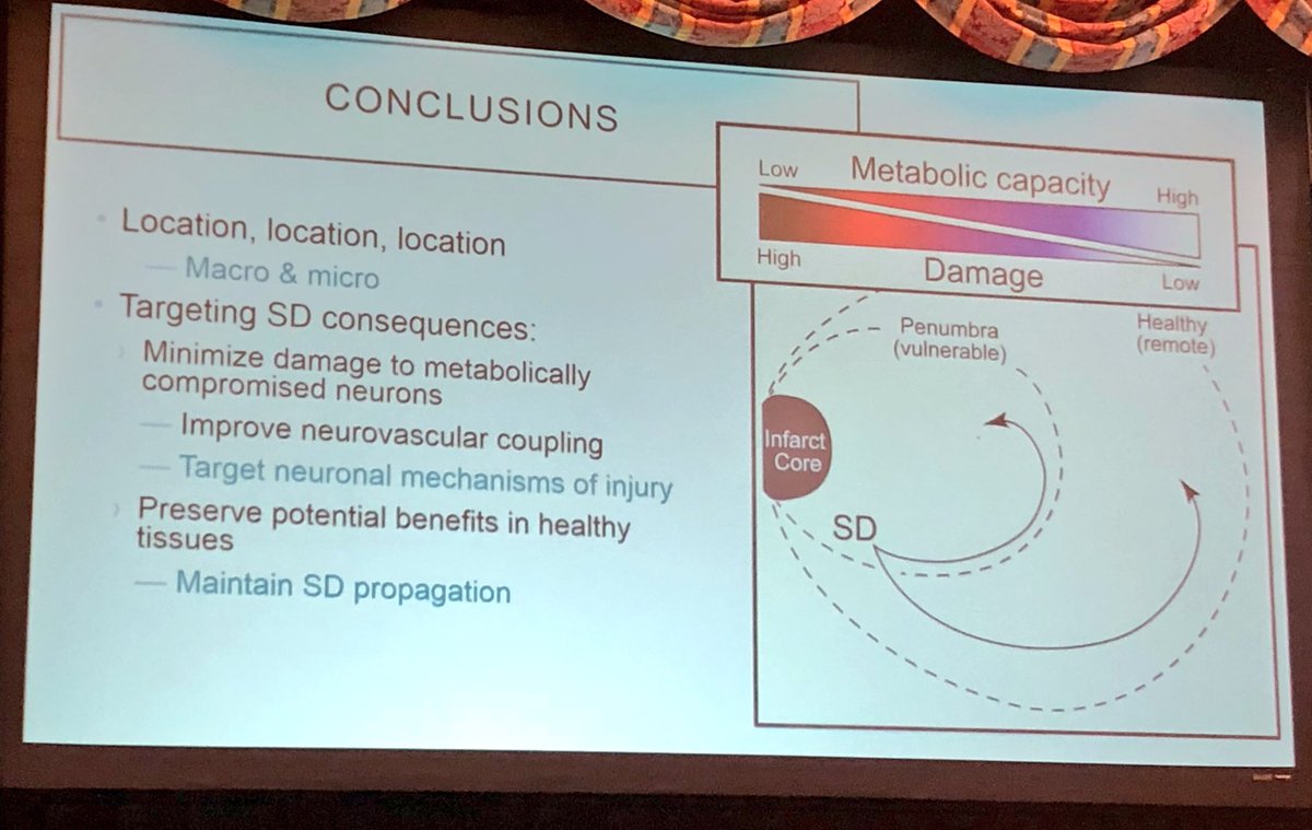 COSBID's tweet image. Targeting the continuum of SD-related neuronal injury without abolishing SDs #COSBID2018 #SpreadingDepolarizations