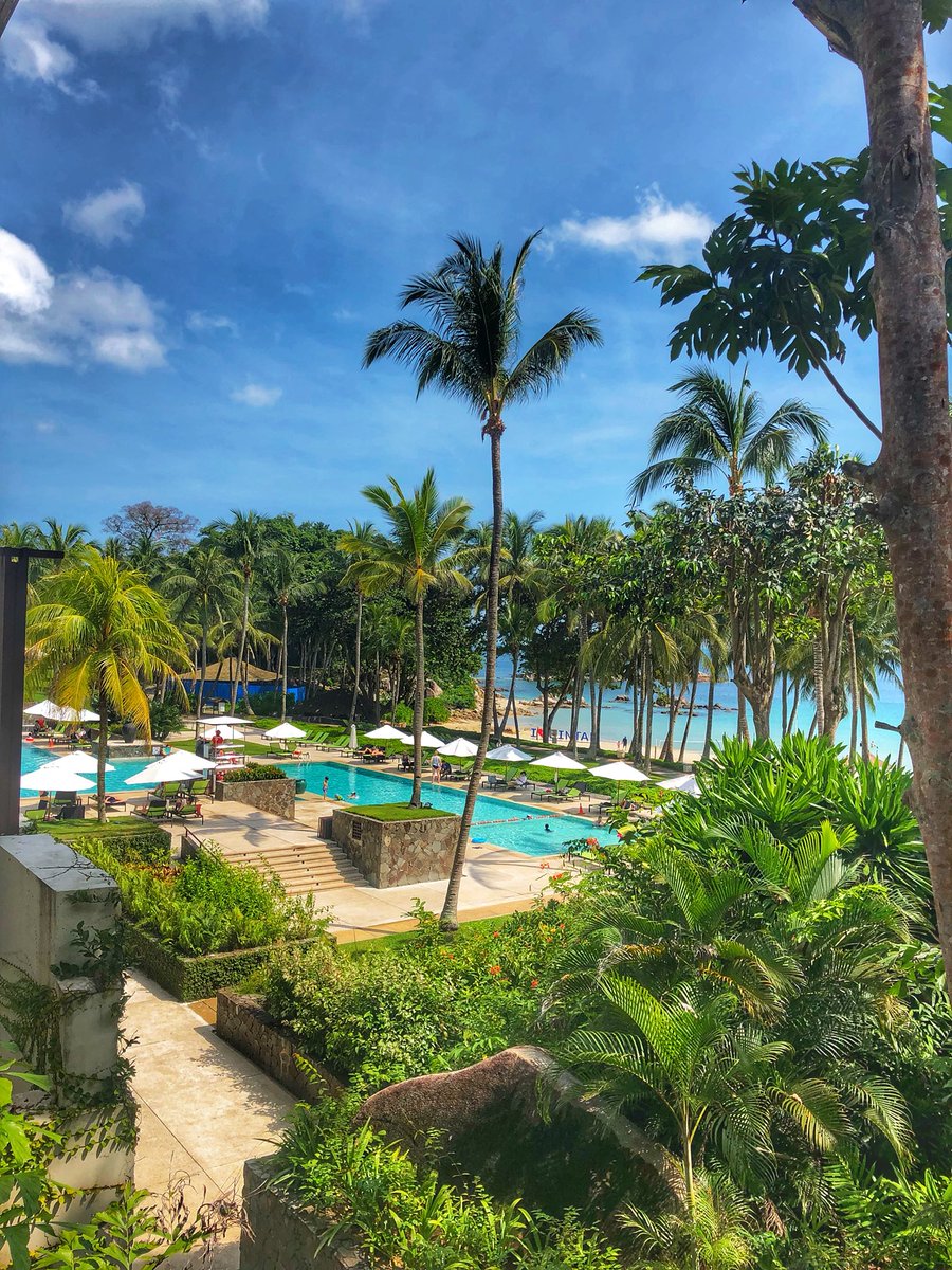 kurtsol89's tweet photo. Cheers @ClubMed #Bintan, you have been exceptional!!!! Until we meet again! ♥️ #ClubMedSA #BintanBaby #TeamCN&CO @cnandco https://t.co/OmP9Yxhnau