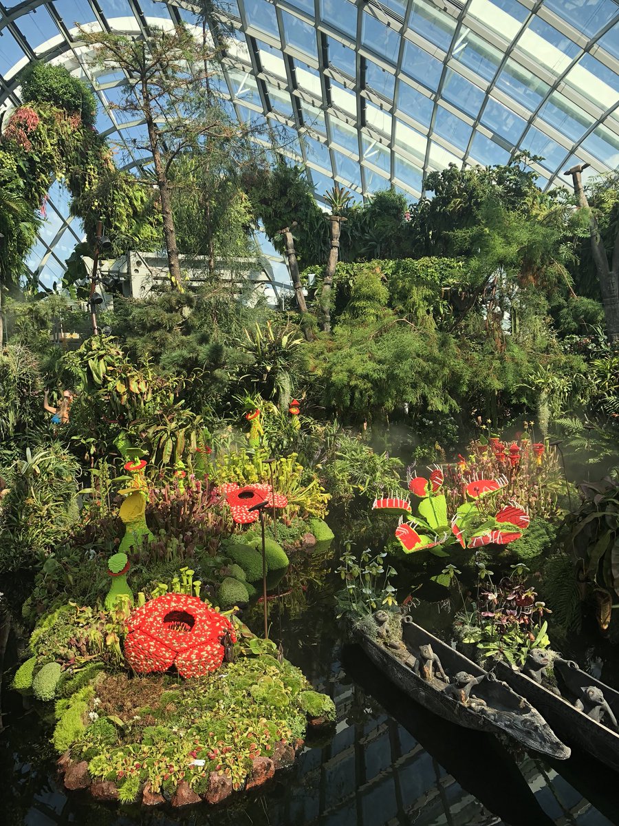 Porecamp tweet media