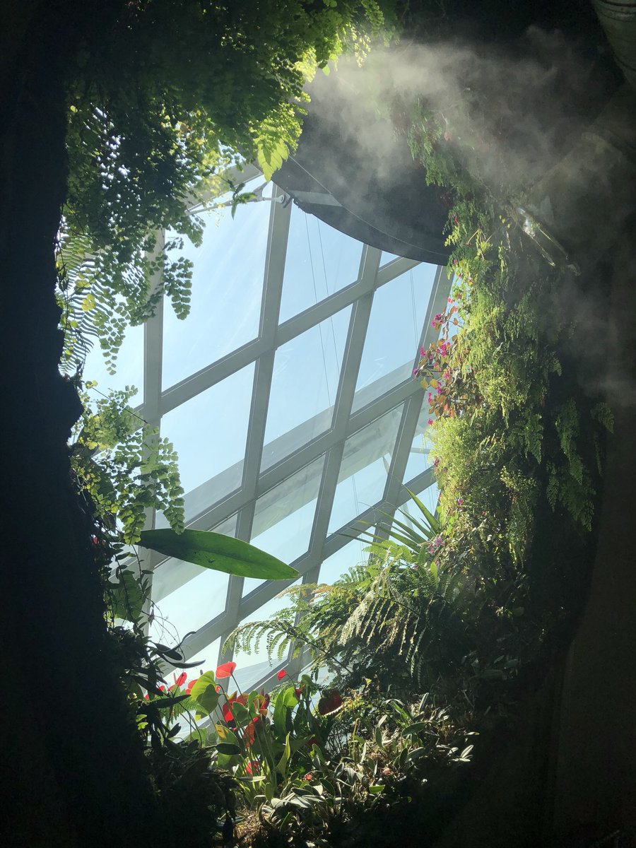 Porecamp (@porecampupdates) on Twitter photo 