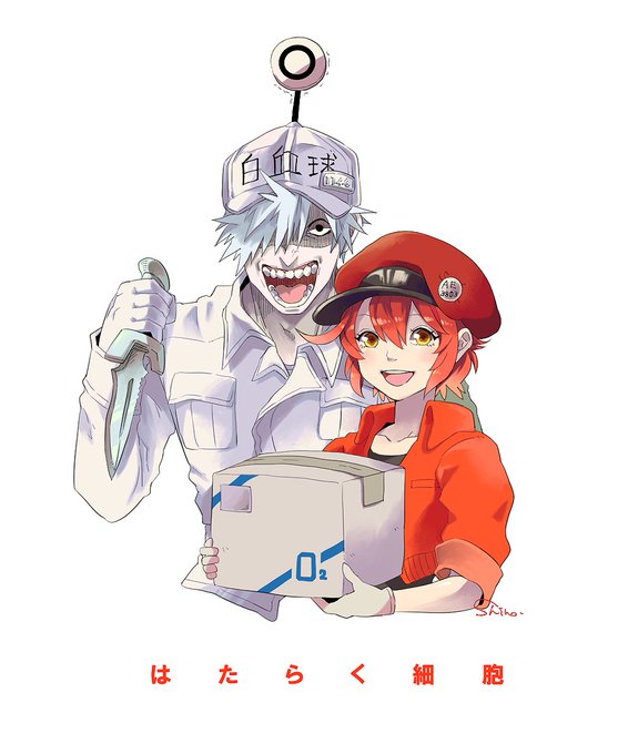 白血球さんのtwitterイラスト検索結果 古い順 白血球さんのtwitterイラスト検索結果 古い順
