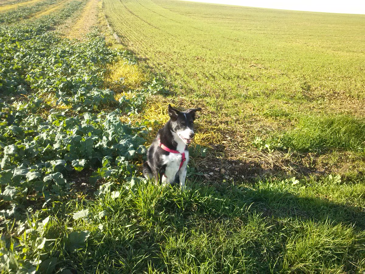 φIsabelle l'Insφumise#NFP#FreePalestine tweet media