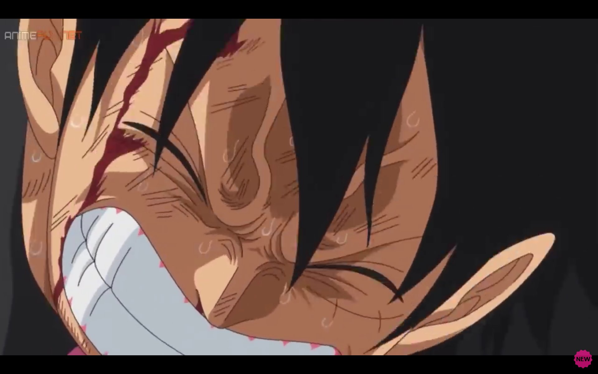 ワンピース Bnlpwpmkndpwgov Twitter