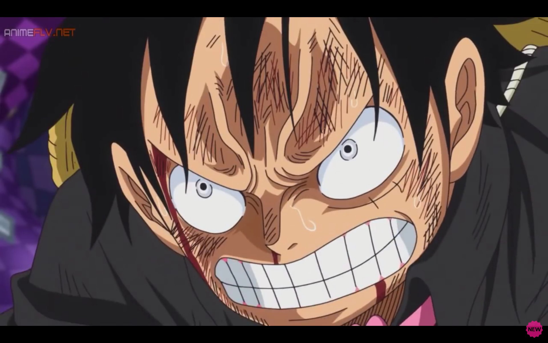 ワンピース Bnlpwpmkndpwgov Twitter