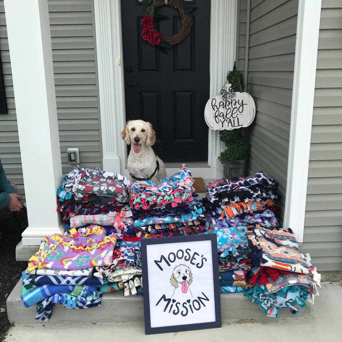 CLEDOGmag's tweet photo. When 50+ dogs were taken to an OH shelter due to a "rescue" being investigated for animal cruelty, Avon-based Moose's Mission made a blanket for each...in 48 hours!
Pawsome work!
@MoosesMission #BlanketsForShelterDogs #CLEProud #MooseForPresident https://t.co/E0VWhed9iI