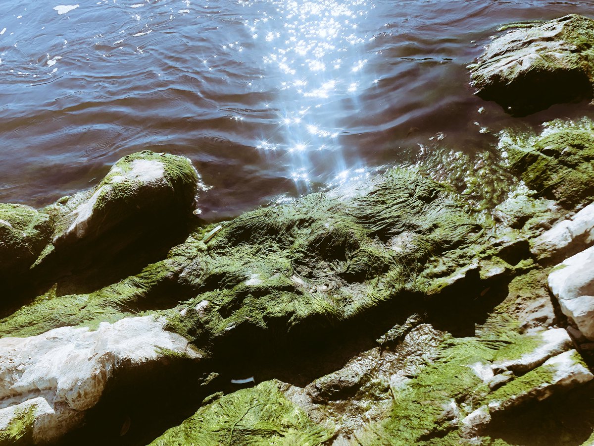 Roanna_Edwards's tweet photo. Perfect day for exploring my backyard! #mundaringweir #bellsrapids https://t.co/1FO8BxvUJt