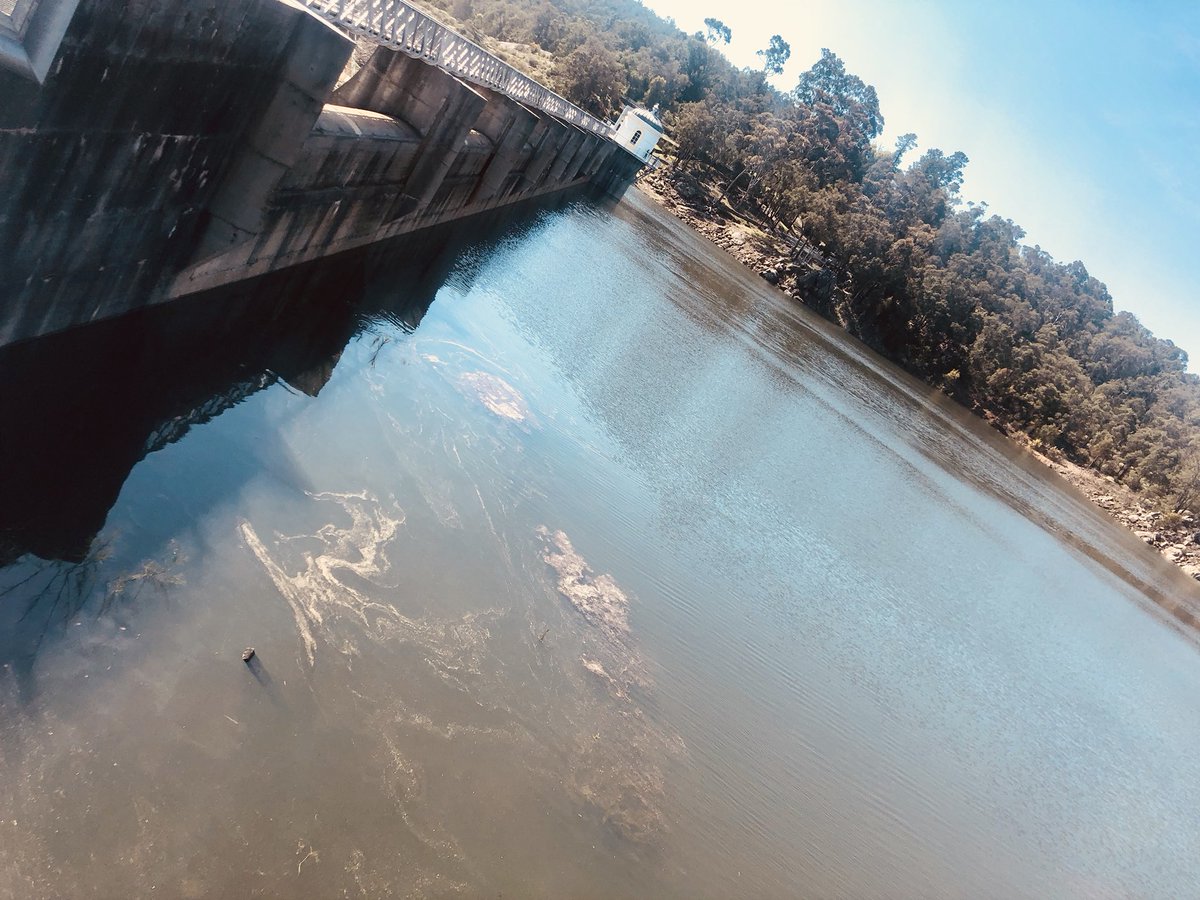 Roanna_Edwards's tweet photo. Perfect day for exploring my backyard! #mundaringweir #bellsrapids https://t.co/1FO8BxvUJt