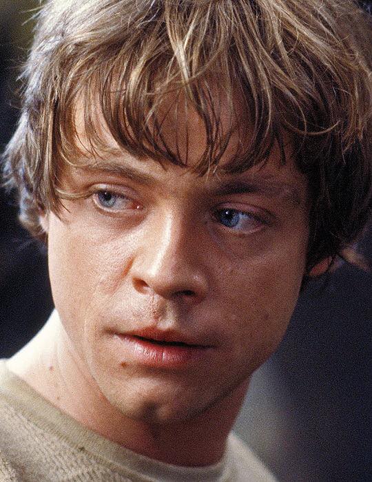 forever hamill forever hamill