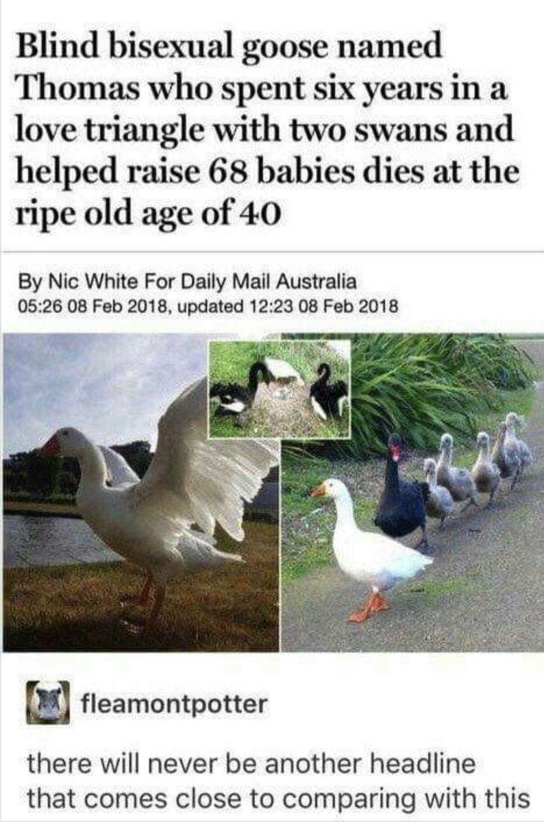 D1s4sterDr3w's tweet image. In honor of Bisexual Visibility Day, I present the greatest headline to ever appear in non-satirical news