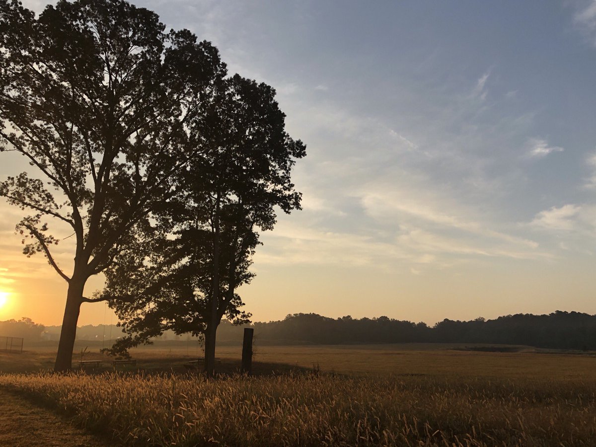 Treasure_Cache1's tweet photo. Good morning Georgia! #geocaching #Geocache #treasure_cache https://t.co/9bDlg2nmTB