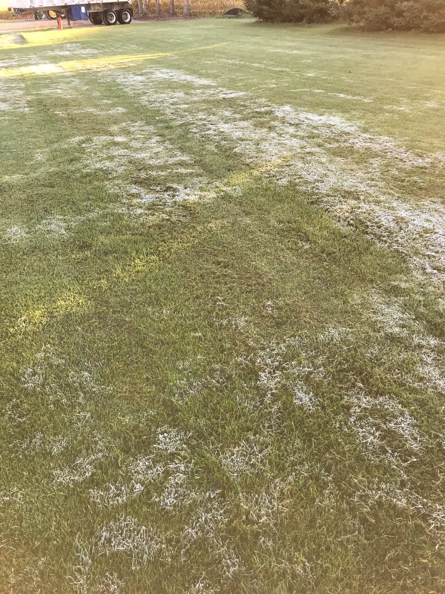 First frost.