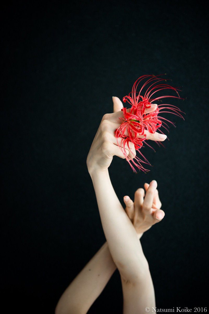 Victim Sweet Victimsweet Twitter