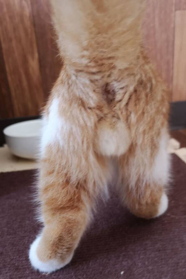 news_matome2016's tweet image. ミスターチルドレン階段

掌
未完
しるし
タガタメ
君がいた夏
光の射す方へ
ランニングハイ
ヒカリノアトリエ
さよならは夢の中へ
マシンガンをぶっ放せ
友とコーヒーと嘘と胃袋
メインストリートに行こう