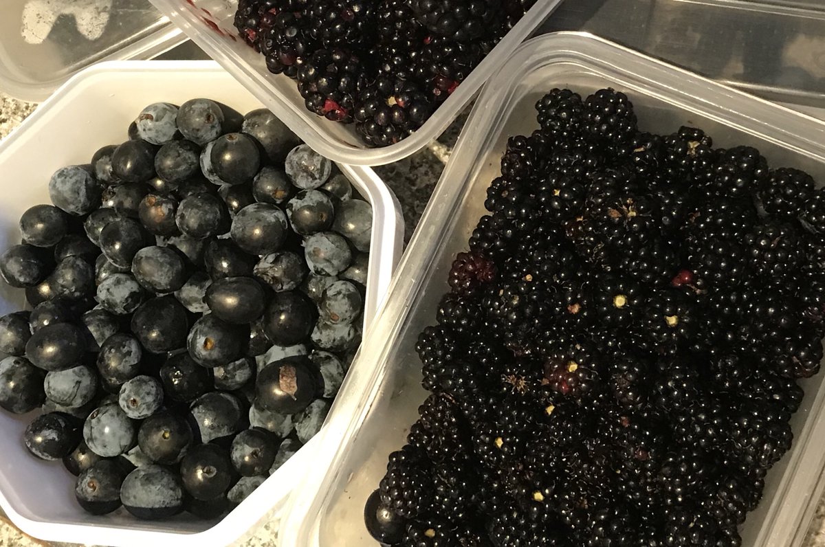Another great yield from today’s forage 🌺