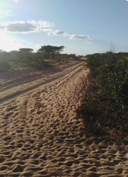 "POVERTY"

Konoromadha village (Tana River), inhabited by Manyoya, AND Balambala - Madogo Road. Mode of transport ; beasts of burden(donkeys) and Toyota Probox (carrying a maximum of 12 passengers).

Picture taken today at 4:30pm.