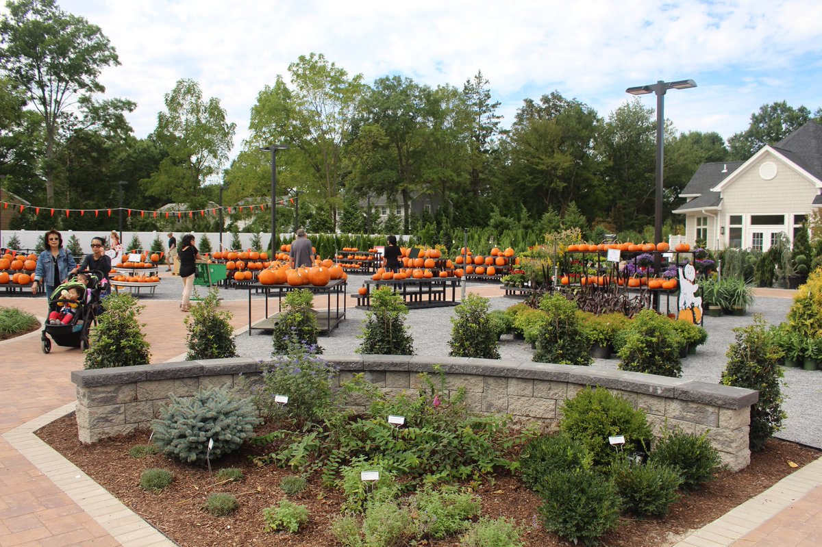 Hicks Nurseries (hicksnurseries) Twitter