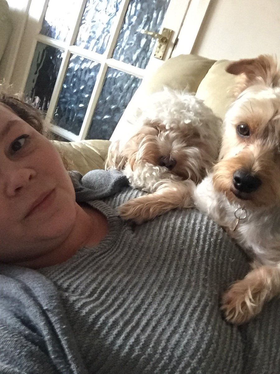 LisaMargreet's tweet photo. Earlier I was swarmed by birds, this afternoon it’s dogs. I’m Dr fricken Doolittle! https://t.co/vsww7AZLi5