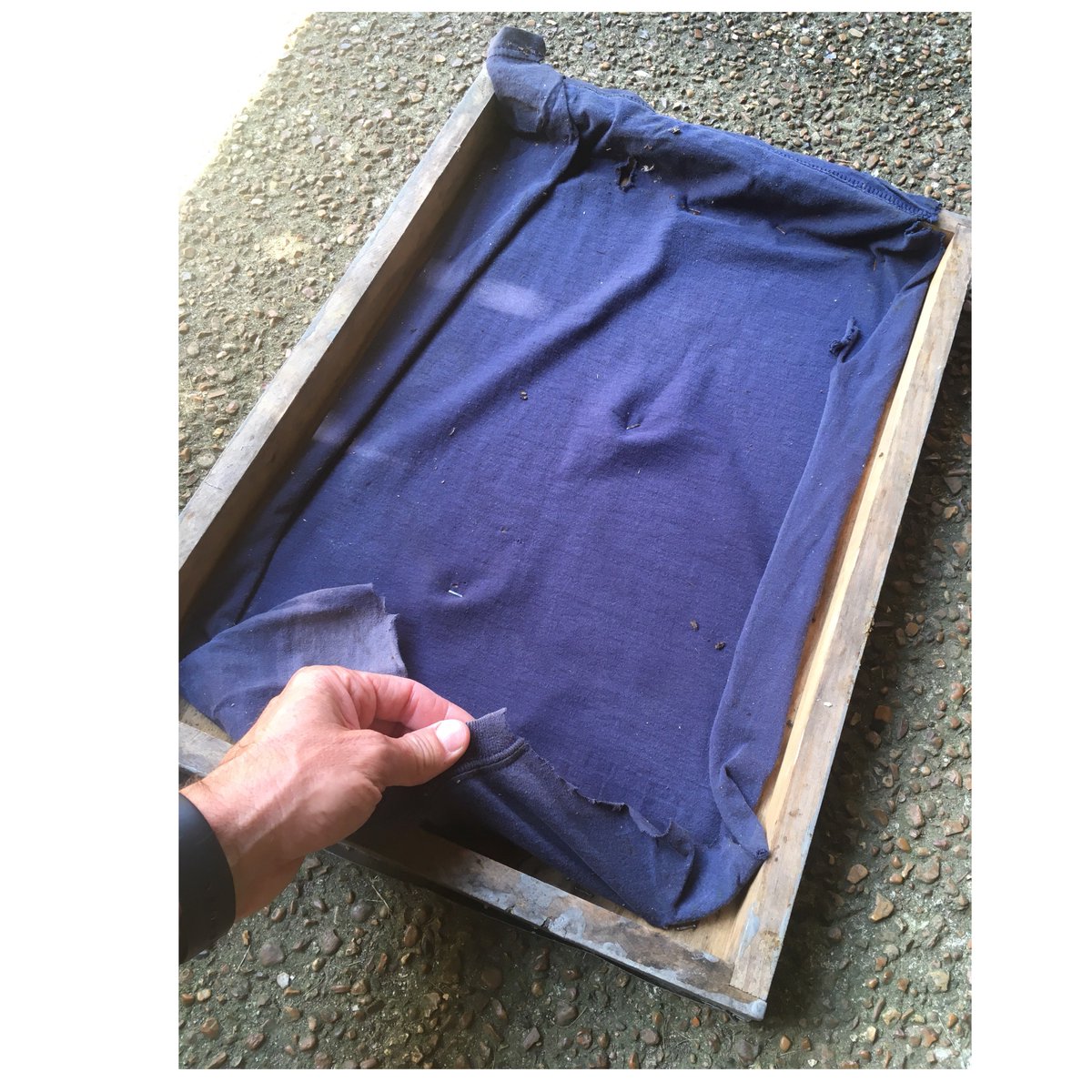 WilliamsHoneyTN's tweet photo. No need for fancy gear. Here’s a DIY fume board. Take an old t-shirt, staple it to the underside of a telescoping cover and spray some bee-quick on it. Boom. #beekeepingtip #beekeepingaddiction https://t.co/agBAG2wBWf