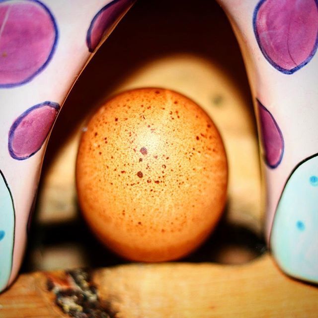 ArtByBlaise's tweet image. Can You Guess What It Is?
🧜‍♀️🐋💛🧜‍♀️🐋💛🧜‍♀️🐋💛🧜‍♀️🐋💛
.
.
.
#whatisit #crazypic #picofthemoment #picofheday #wtfisthis #wtfisthat #photogtaphy #farmhousedecor ift.tt/2QT6iRF