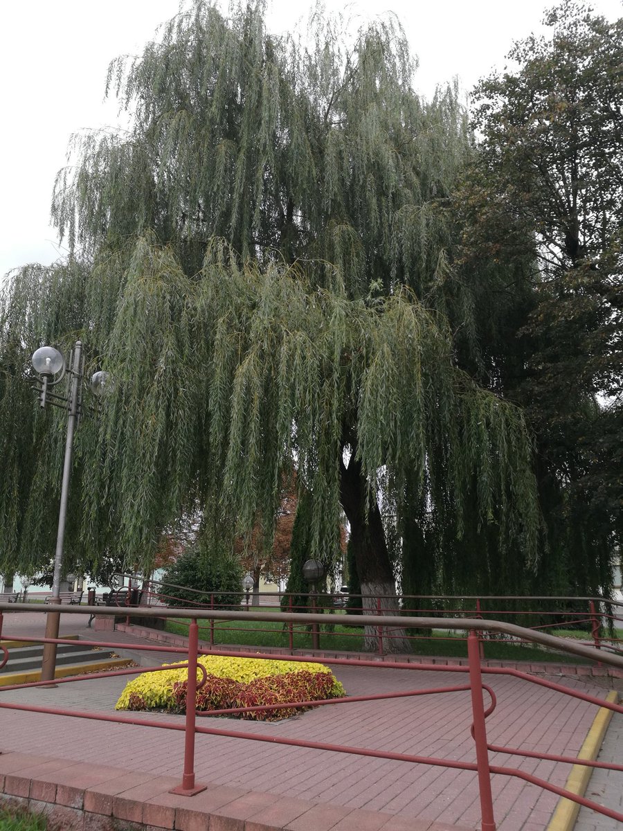 Слоним#осень#eleonoramalash#Беларусь