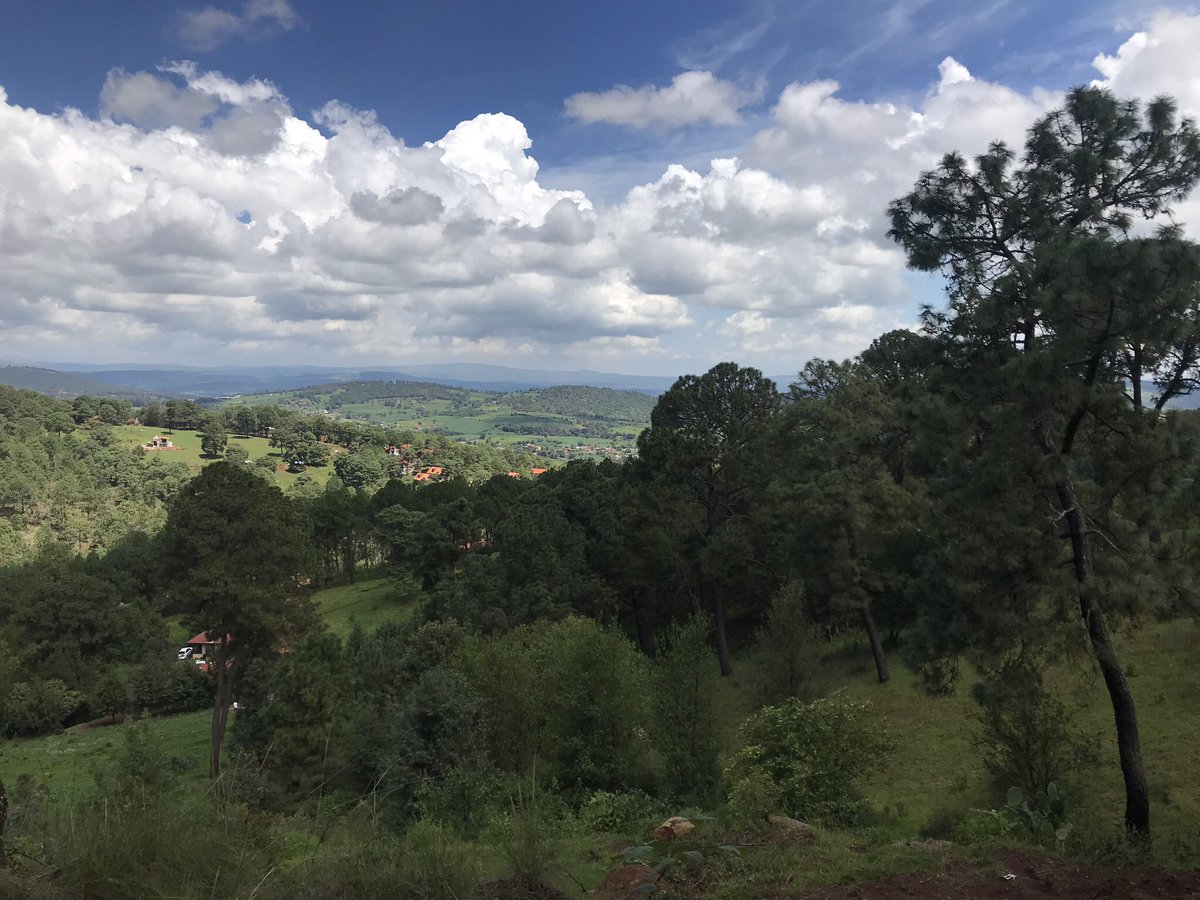 Buenos días!
Te compartimos un hermoso paisaje de nuestra caminata mañanera <a href="/MazamitlaJal/">Mazamitla</a> <a href="/MazamitlaVivelo/">Mazamitla Jalisco</a> <a href="/SierraTour/">Mazamitla Sierra Tour</a> #Mazamitla