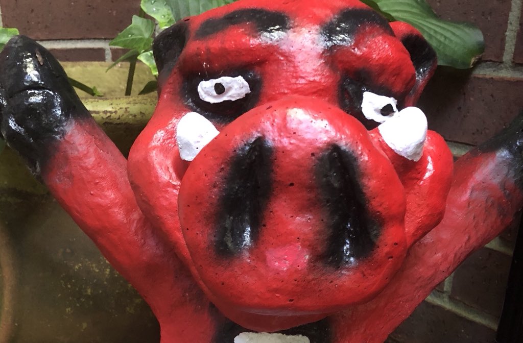Birdieelee_'s tweet photo. @AaronNolanNews WPS! #razorbackforever https://t.co/rFPDZ5tz4A