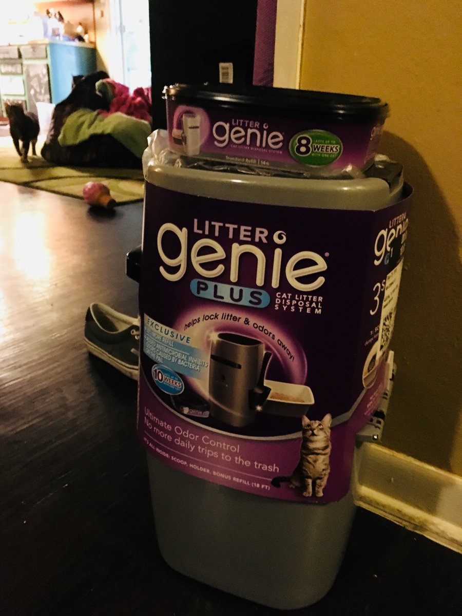 CrashurisClay69's tweet image. I just @amazonprimenow ‘ed a diaper genie 🧞‍♀️ for my 3 indoor cats 🐈. My privilege to care and try a product to solve Mr Meowmer’s offensive elderly cat 🐈 butt odor is not lost on me. 🤣❤️😊🙌. #firstworldproblemsstillexist #maslowshierarchyofneeds ❤️🙌.