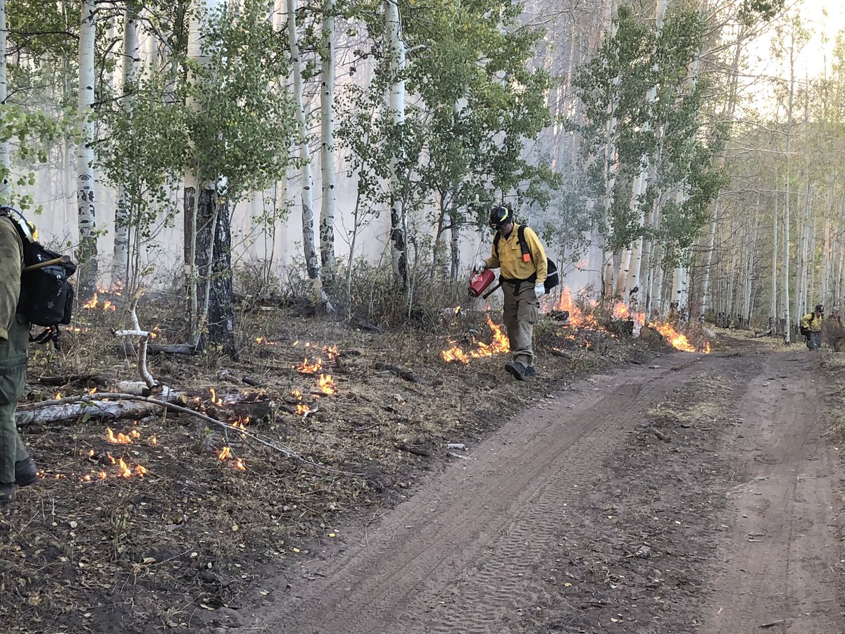 SouthMetroPIO's tweet photo. This is not the #leafpeeping trip most us have in mind.  A crew of 4 South Metro Firefighters continue to assist with the #bulldrawfire that has burned over 33,900 acres in Montrose and Mesa Counties and is now 70% contained. #COwx #COFall https://t.co/h6yNuzvLnU