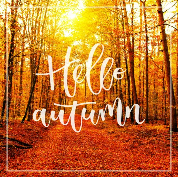 It's officially fall, my favorite time of year! What do you love most about this season?
#SundayMorning #FallEquinox #fall #proofreading #editing #Editor