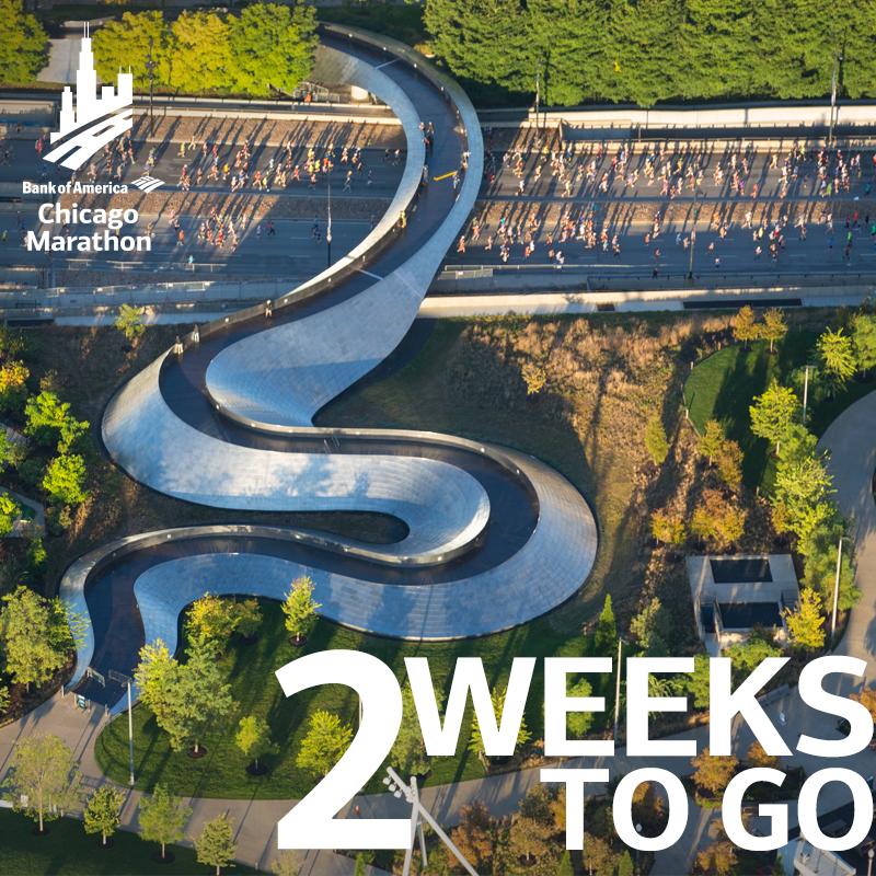 Only 14 days until the accomplishment of a lifetime!