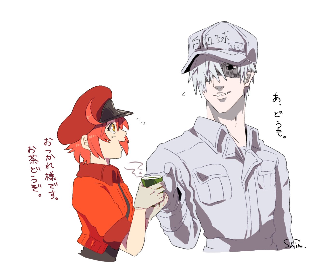 ❤️❤️❤️❤️血液細胞アトラス❤️❤️❤️❤️ 血液細胞アトラス 第5版 | 三輪 史朗, 渡辺 陽之輔 |本 | 通販