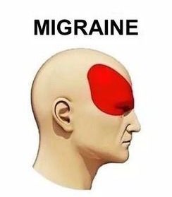 L E S E D I tweet media