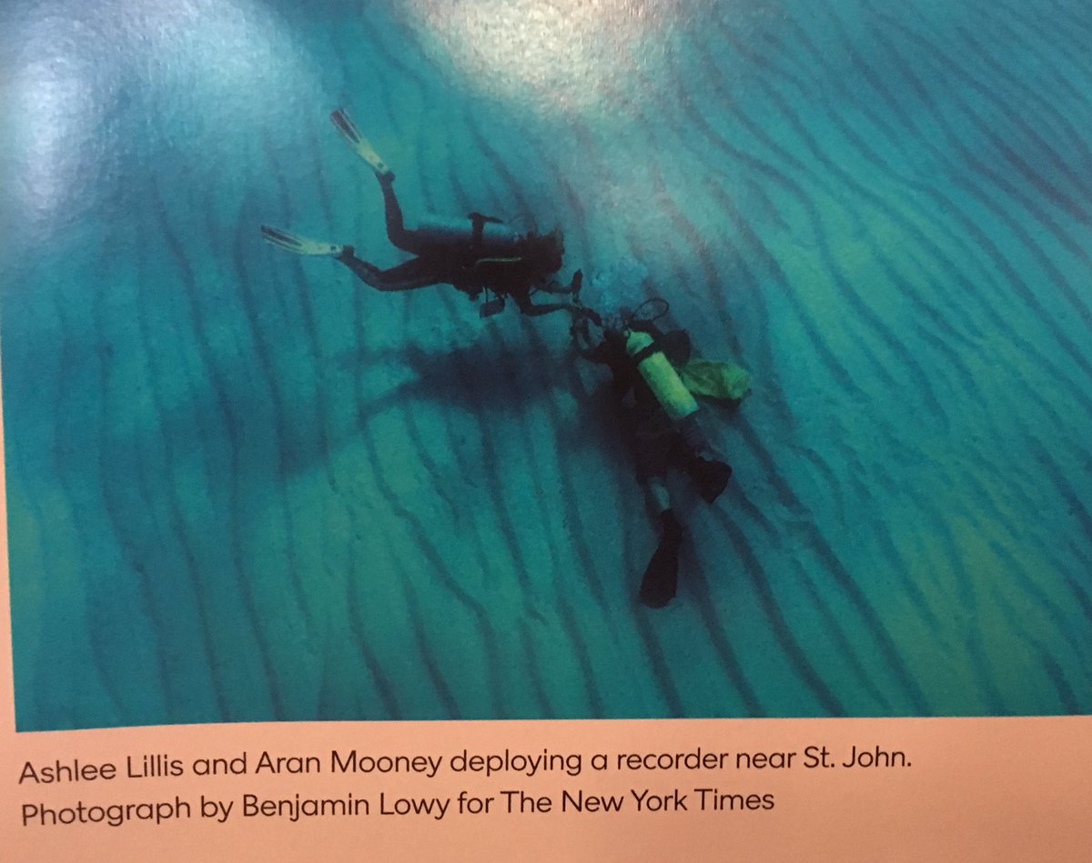 Amy Apprill (@amyapprill) on Twitter photo WHOI soundscape work is featured in today’s NY Times magazine! Just scored my copy! <a href="/ashleelillis/">Ashlee Lillis</a> nytimes.com/interactive/20… WHOI soundscape work is featured in today’s NY Times magazine! Just scored my copy! <a href="/ashleelillis/">Ashlee Lillis</a> nytimes.com/interactive/20…