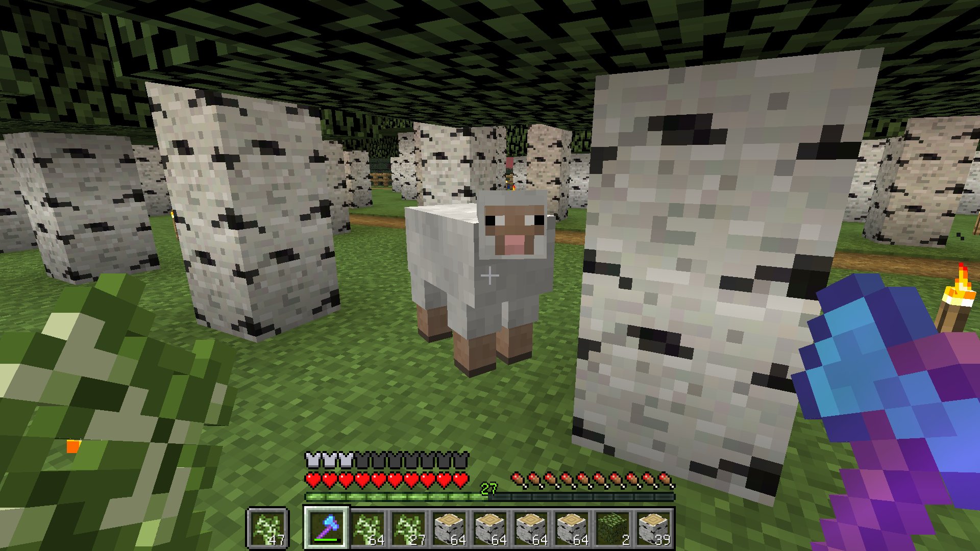 Twitter 上的 のがみマオ はじめ人間オクタゴン 白樺の森だから 白が保護色みたいになってて驚いた ﾟdﾟ たまに羊毛とお肉が落ちてる時があるんだけど もしかして 木が生えた時に マインクラフト マイクラ 植林場 羊たちが沈黙 T Co Zeik7pvb4f