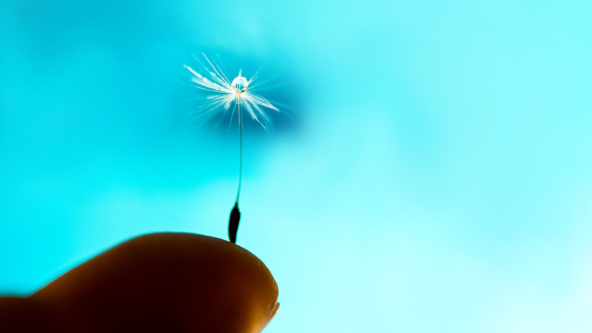 CCCrocetta's tweet image. Per i gruppi di Mindfulness Bemindful in partenza chiusura iscrizioni il 30 settembre per il gruppo del Giovedì mattina e il 3 ottobre per i gruppi del Lunedì.
centroclinicocrocetta.it/psicoterapia-c…