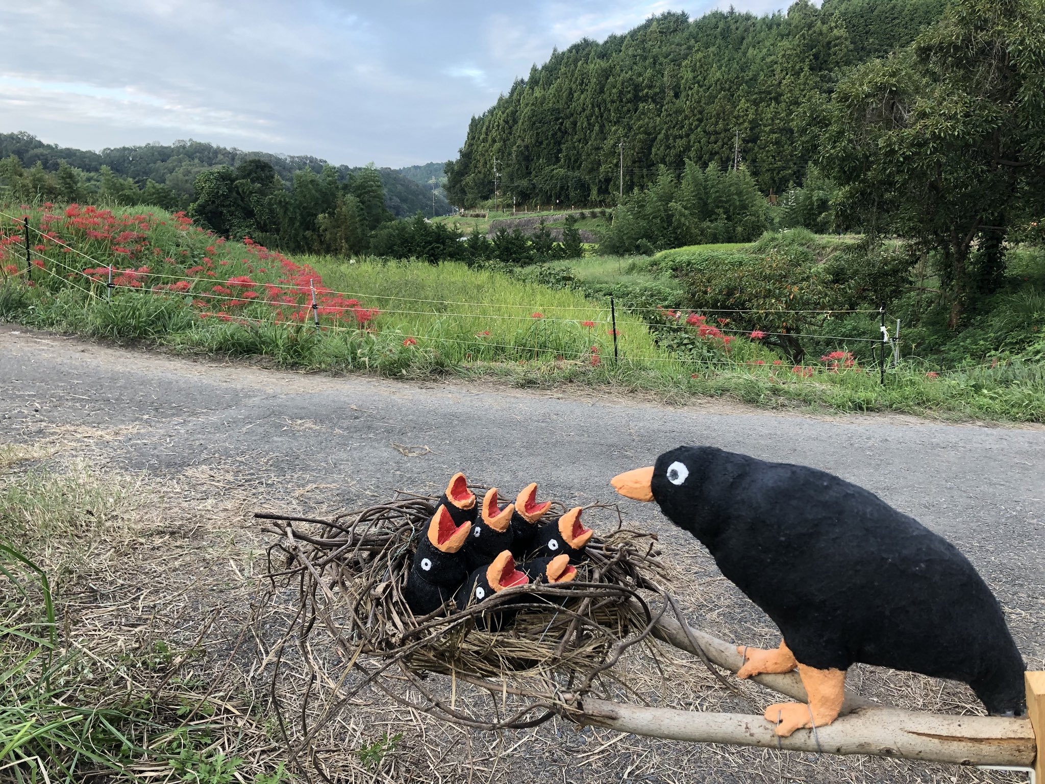 彼岸花祭り Twitter Search Twitter