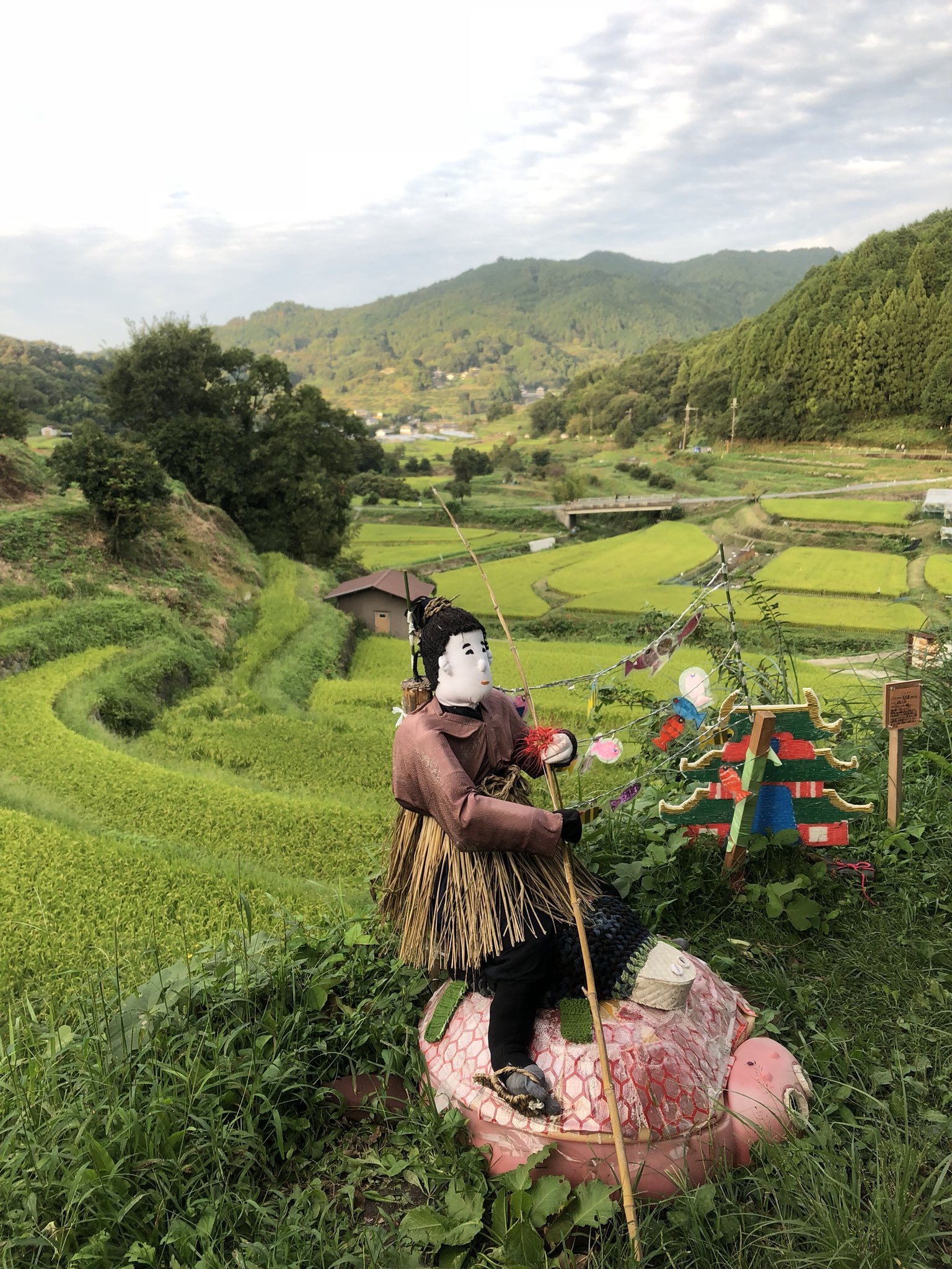 彼岸花祭り Twitter Search Twitter