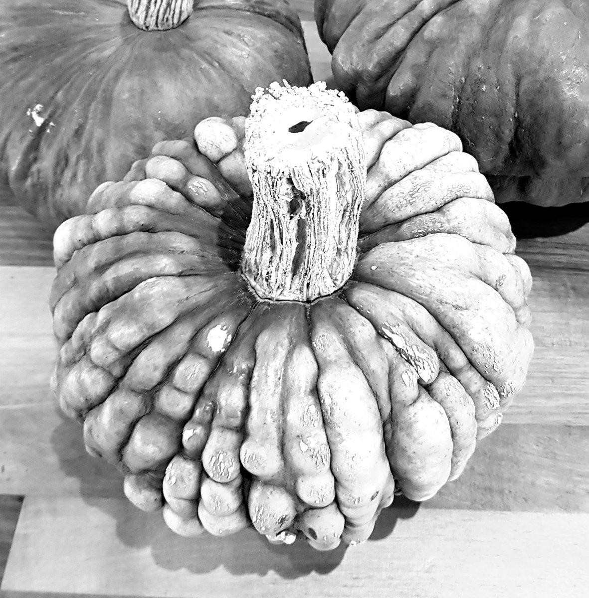 DavidTuddenham's tweet photo. Day 1: 7 days of black and white photos of my life. Don’t include humans or give explanations. Challenge someone new every day. I was challenged by @HelenTuddenham Today I challenge  @hughbo over to you! #blackandwhitechallenge https://t.co/arEAL7uIR6