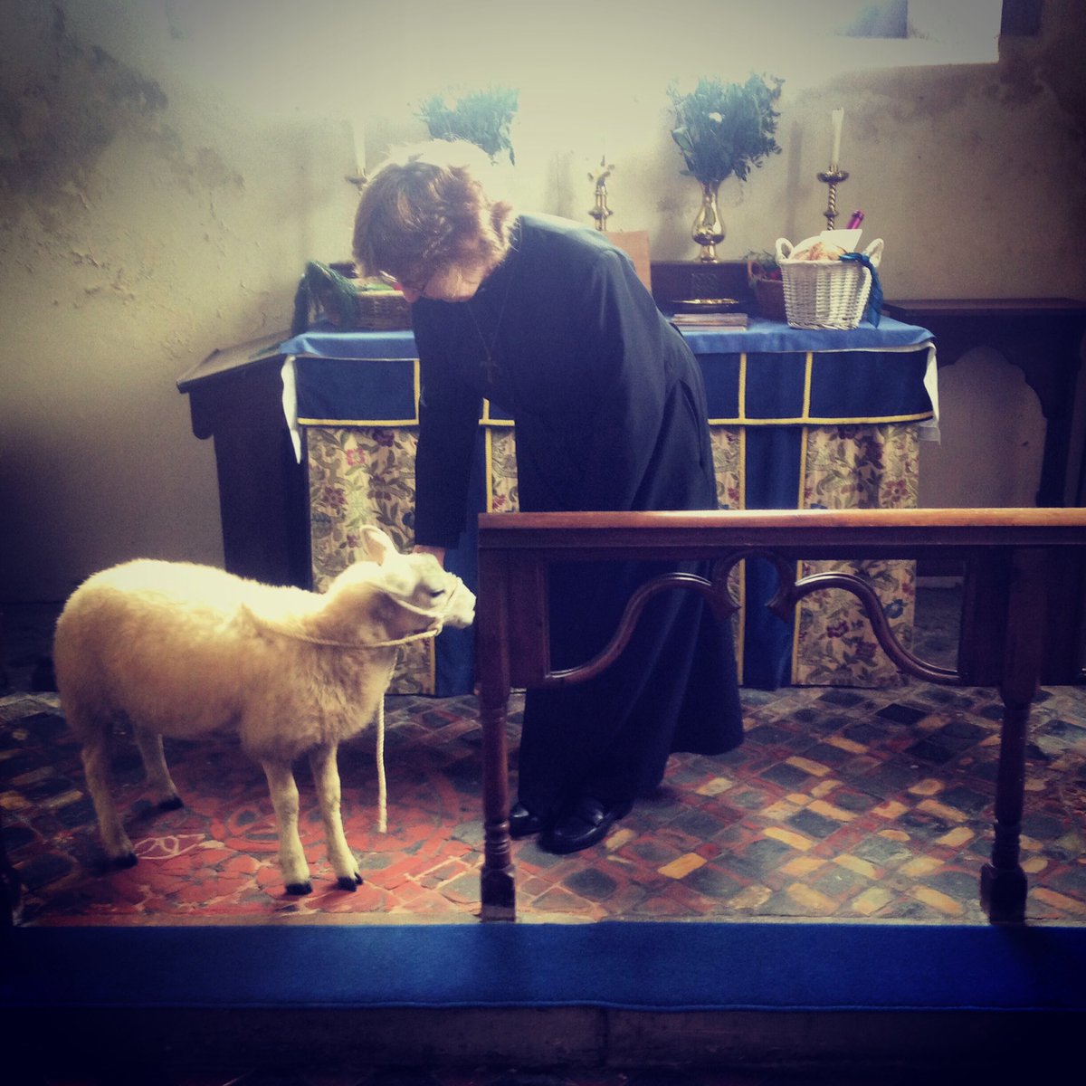 ManorFarm15's tweet photo. Today our favourite petlamb, Minnie, got to take part in the local harvest festival! #lambofgod #harvestfestival #sheep365 https://t.co/nhEF370kkS
