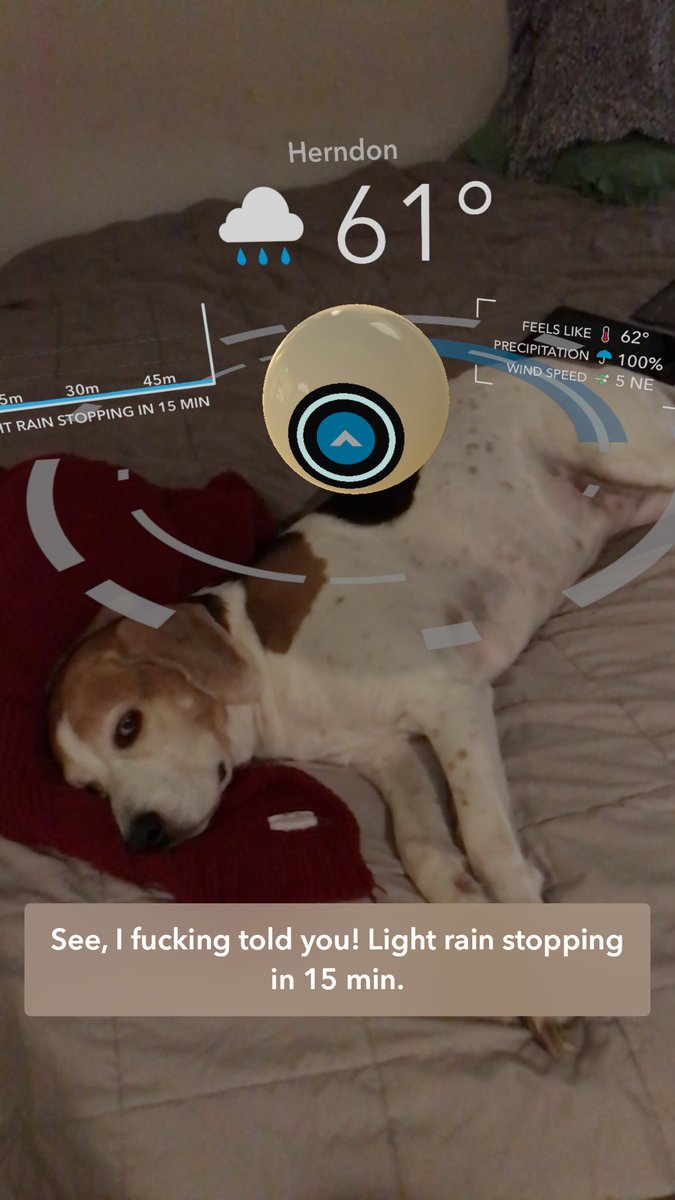 kaburke9's tweet image. I'm not going out in the fucking rain. ⁦@CARROT_app⁩ #ARmode